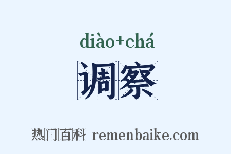 调察是什么意思的图片